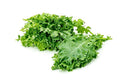 Hydroponic Kale - Curly (king of super foods)- Organically Grown